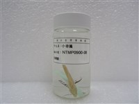 小骨鰧藏品圖，第2張